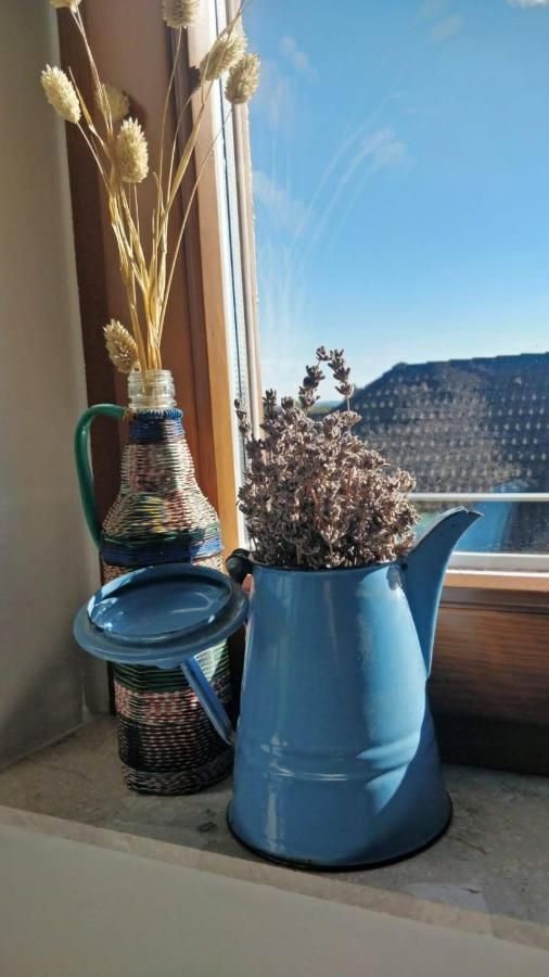 Apartmán Hello Balaton Alsóörs Exteriér fotografie