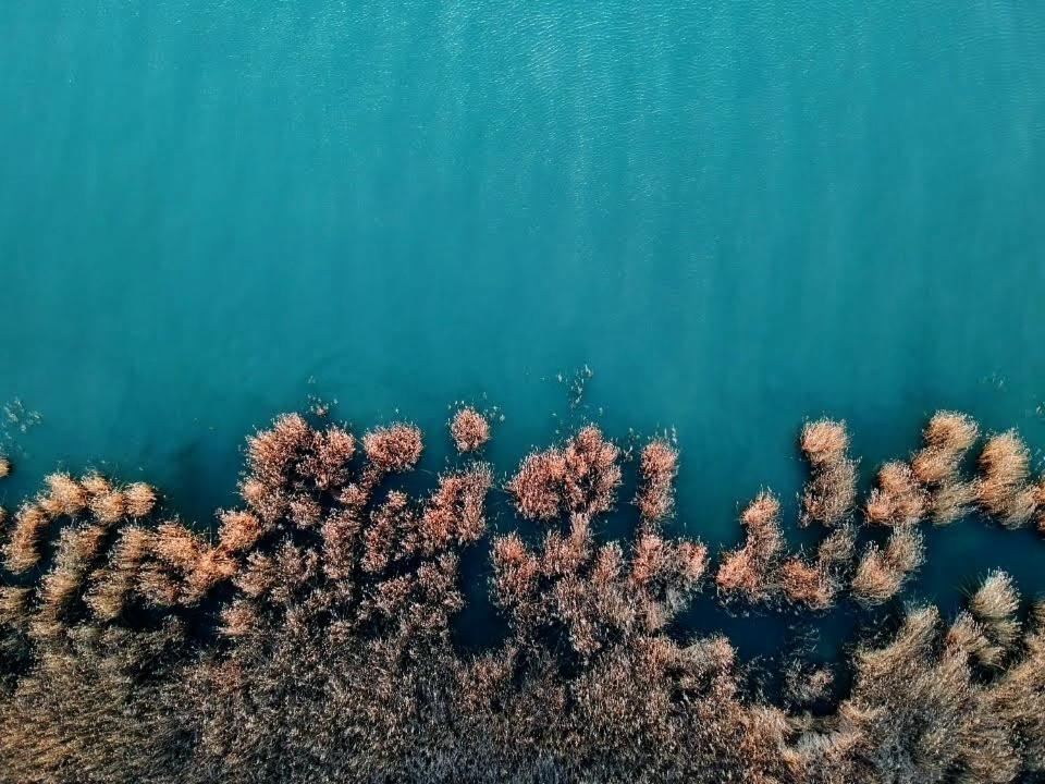 Apartmán Hello Balaton Alsóörs Exteriér fotografie